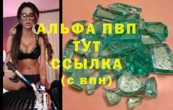 винт Аркадак