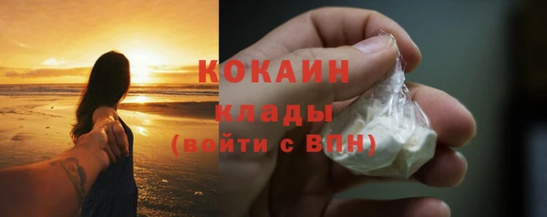 дживик Арсеньев