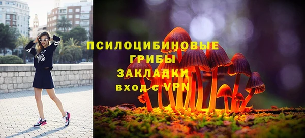 винт Аркадак
